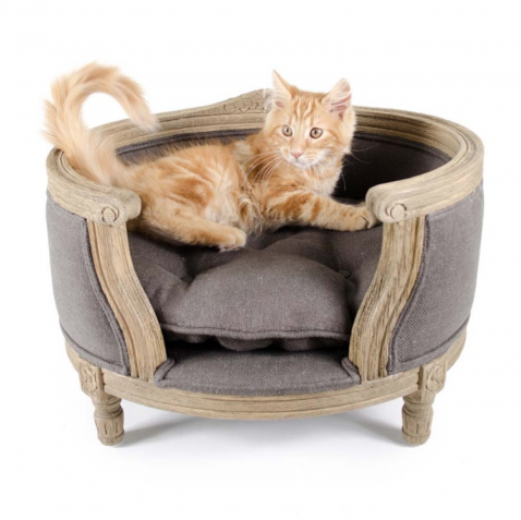 Foto : Een zeer stijlvolle en luxe katten sofa in Louis XVI stijl om heerlijk op te relaxen.